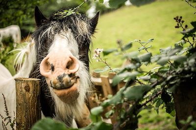 Secrets du Pays de Galles 2