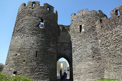 Trio celte : Pays de Galles, Irlande & Ecosse 4