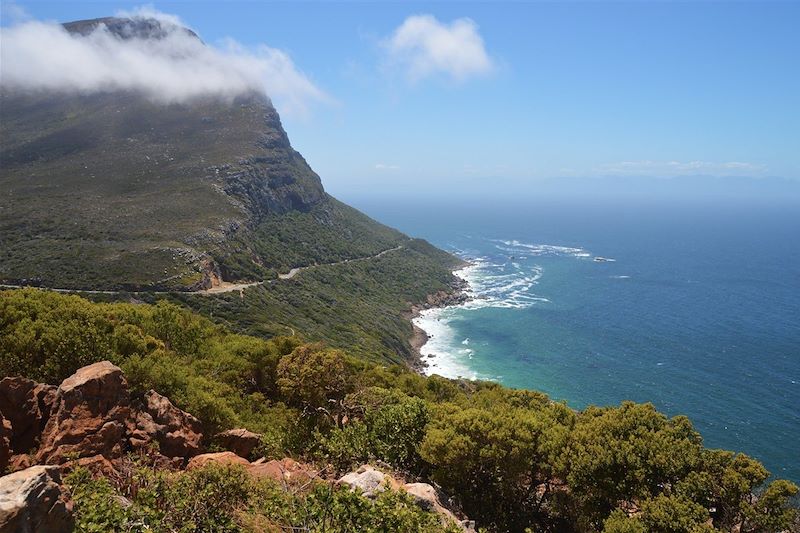 Cap de Bonne-Espérance - Voyage en Afrique du Sud