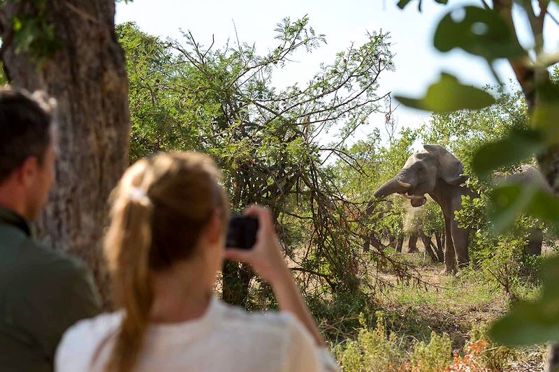 Safari à pieds - Klaserie Private Nature Reserve - Afrique du Sud