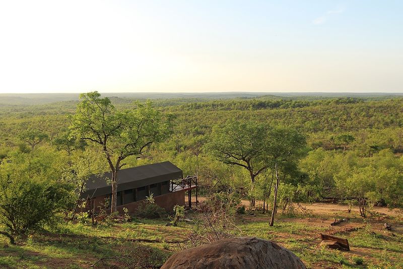 Mopaya Safari Lodge - Réserve Privée de Balule - Afrique du Sud