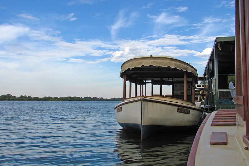 Croisière sur le Zambèze - Victoria Falls - Zimbabwe