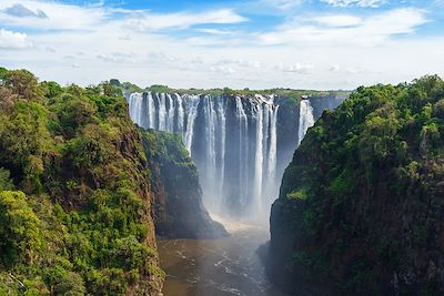 voyage Du Kruger aux Chutes Victoria