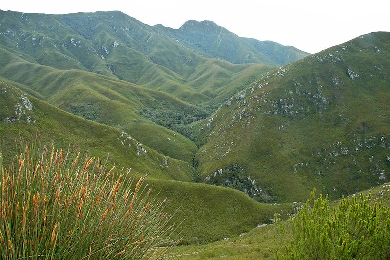 Oudtshoorn - Cap-Occidental - Afrique du Sud