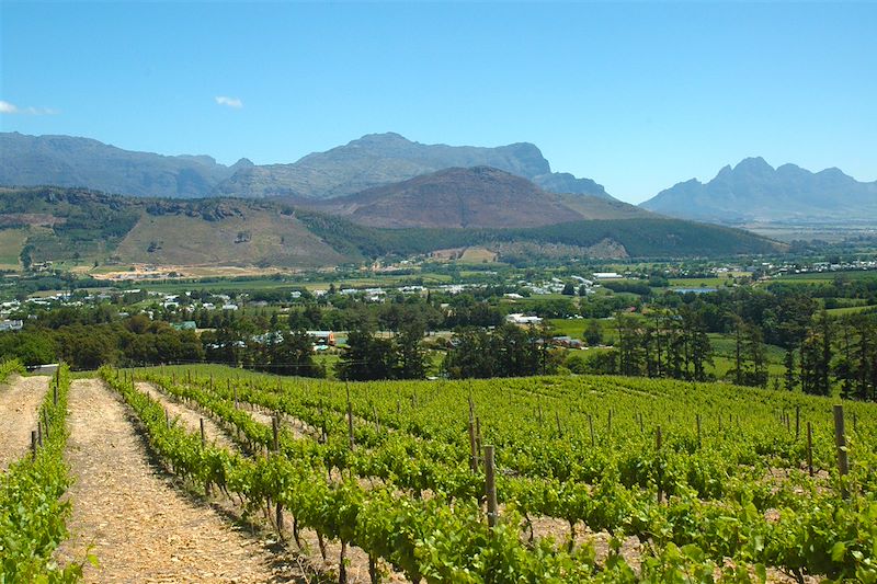 Franschhoek - Cap-Occidental - Afrique du Sud