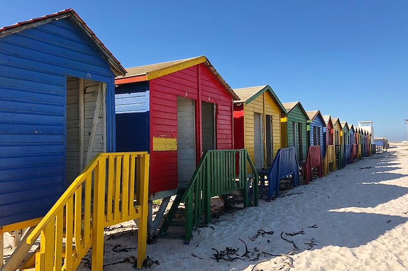 Plage de Muizenberg - Afrique du Sud