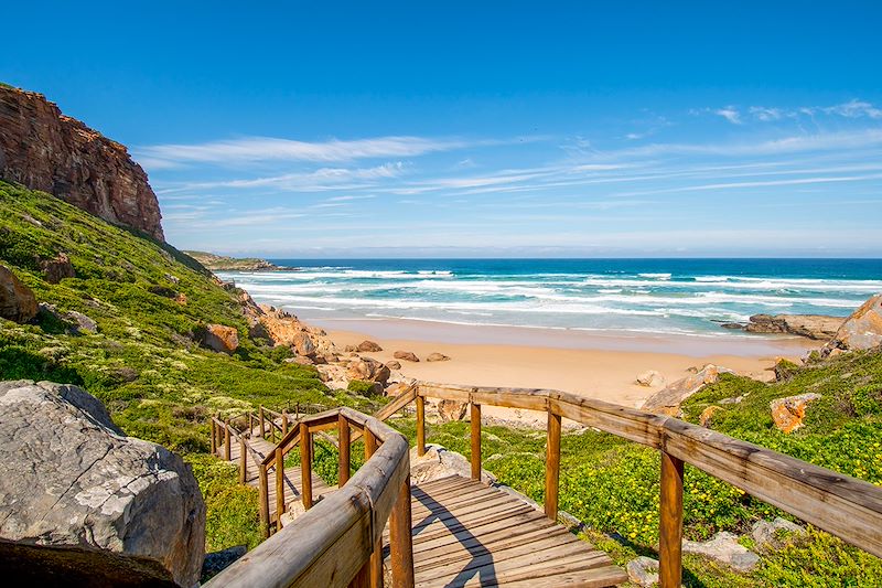 Robberg Nature Reserve - Cap-Occidental - Afrique du Sud