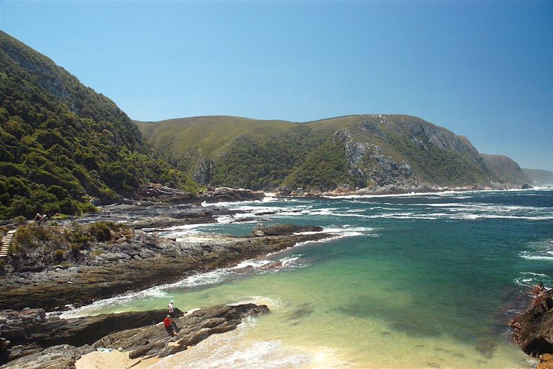 Parc national de Tsitsikamma - Cap-Occidental - Afrique du Sud