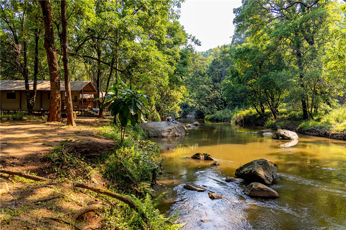 Africamps at Macker - Hazyview  - Afrique du Sud