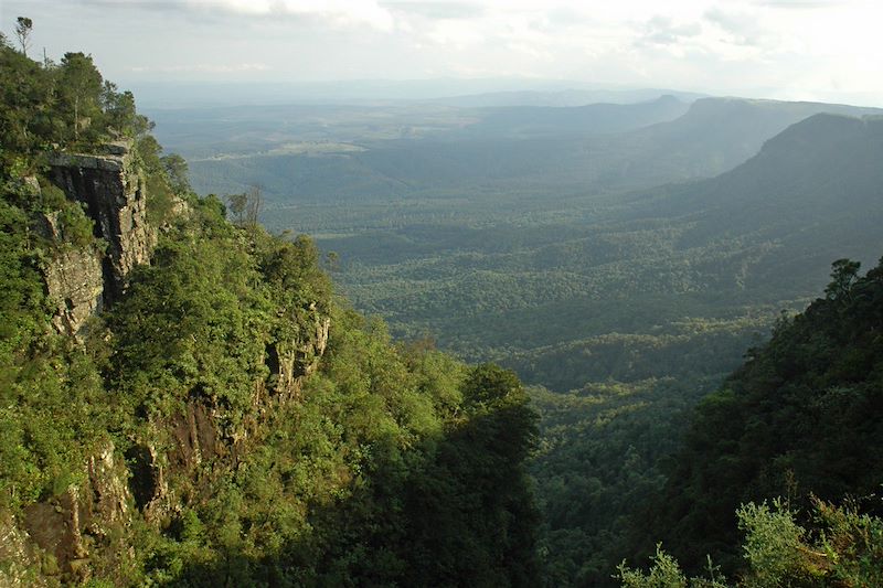 Réserve naturelle de Blyde River Canyon - Drakensberg - Afrique du Sud