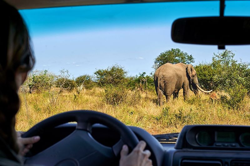 Safari en Afrique du Sud du sud au nord du parc Kruger en 4x4 tente de toit et nuits en plein bush dans les Rest Camps du parc