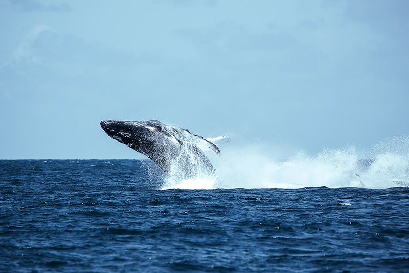 Big Five & Beach Break