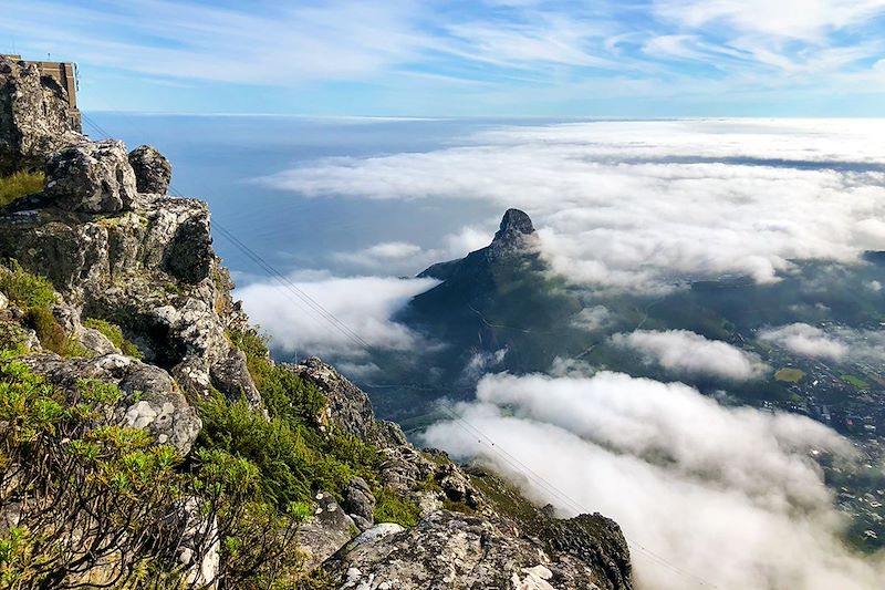 Table Mountain - Cap-Occidental - Afrique du Sud