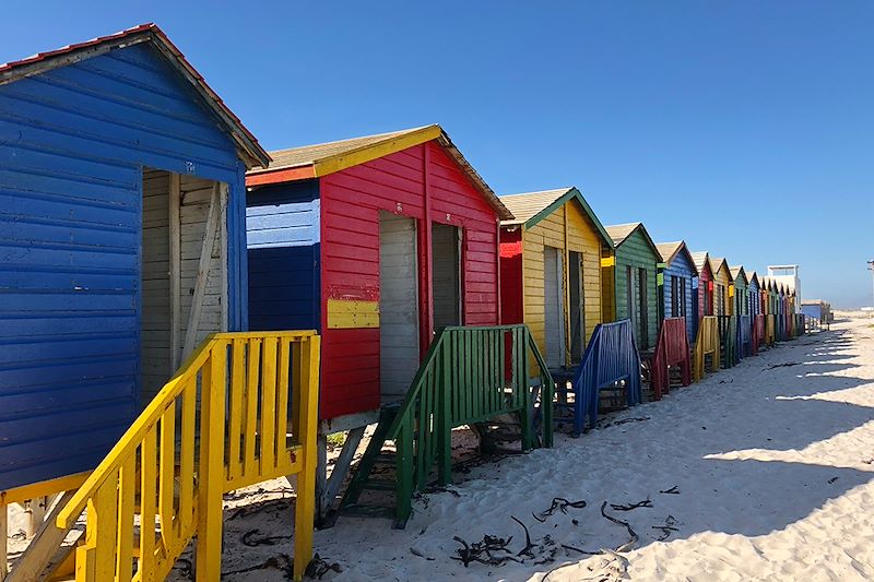 Plage de Muizenberg - Afrique du Sud