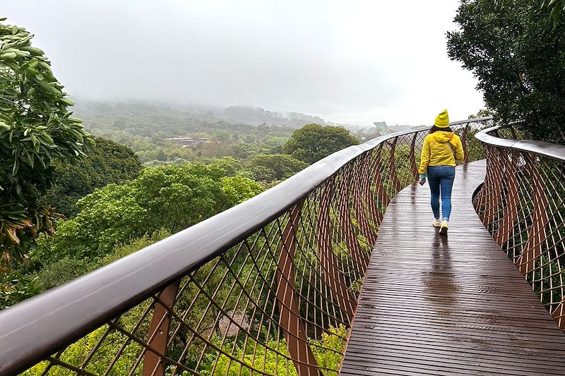 Jardin botanique national Kirstenbosch - Le Cap - Afrique du Sud