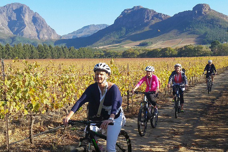 Cyclistes dans les vignes de Franschhoek - Afrique du Sud