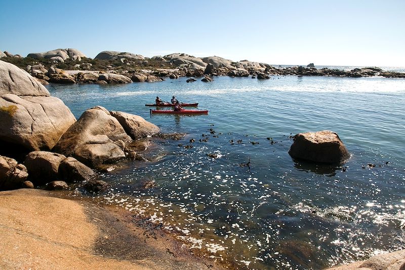 Kayakistes - Le Cap - Afrique du Sud