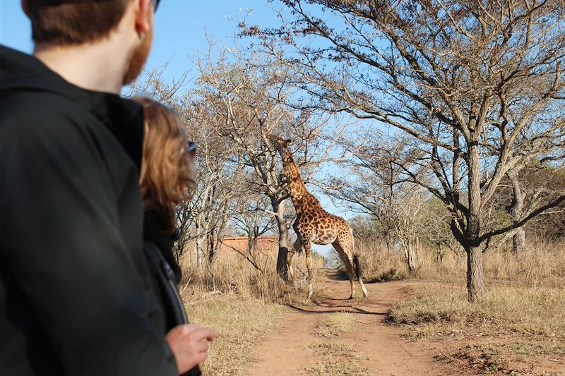 Réserve de Guernsey - Limpopo - Afrique du Sud