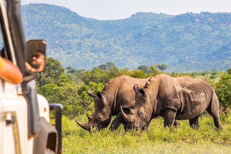 L’école du bush : safari des petits curieux