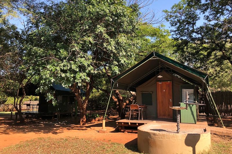 Road trip en famille en Afrique du Sud, mi camping mi lodge, de Blyde River Canyon au parc Kruger et en réserve privée