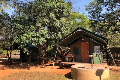 L’école du bush : safari des petits curieux