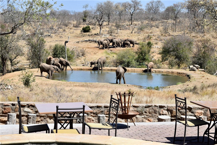 Milima Big Five Safari Lodge - Réserve Privée de Balule - Afrique du Sud