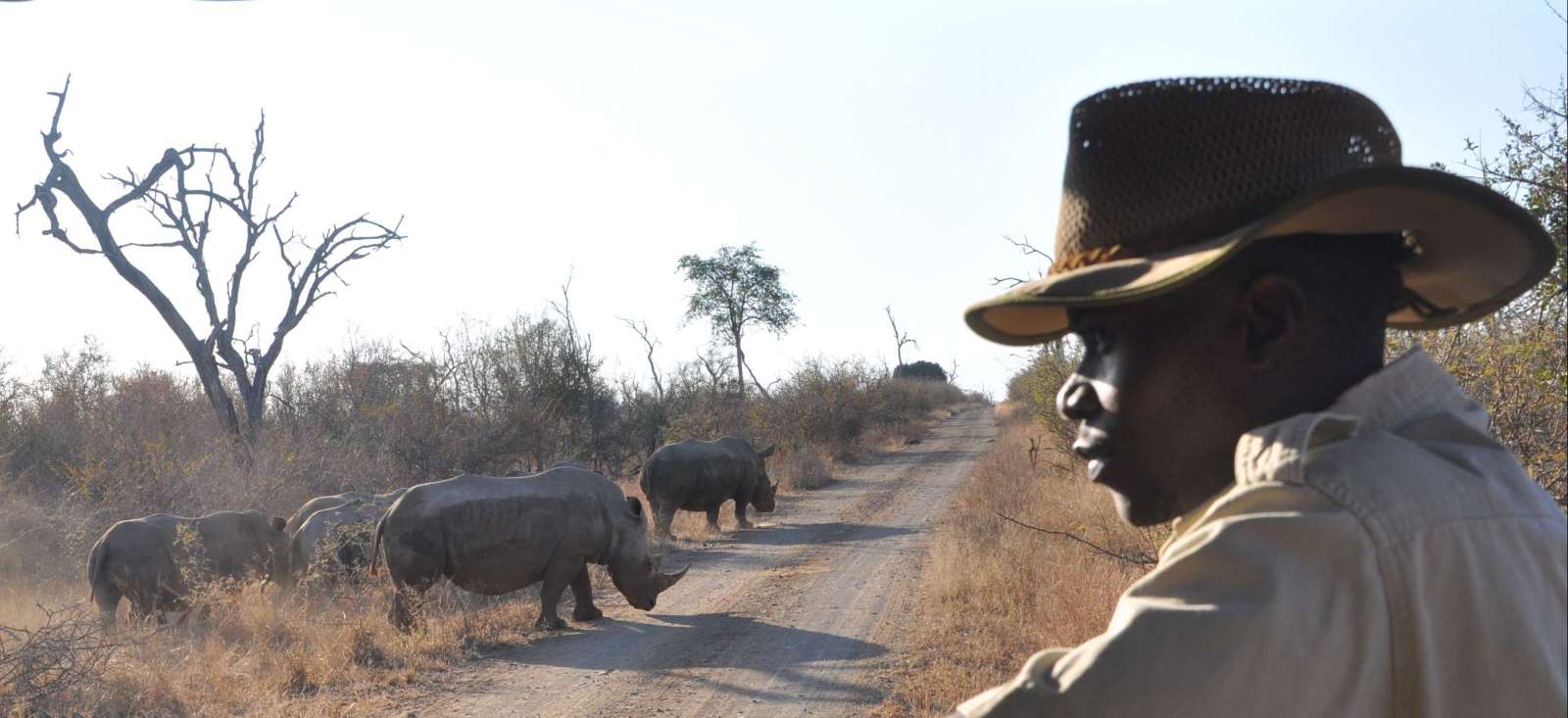Voyage avec des animaux : L\'essentiel de l\'Afrique du Sud...