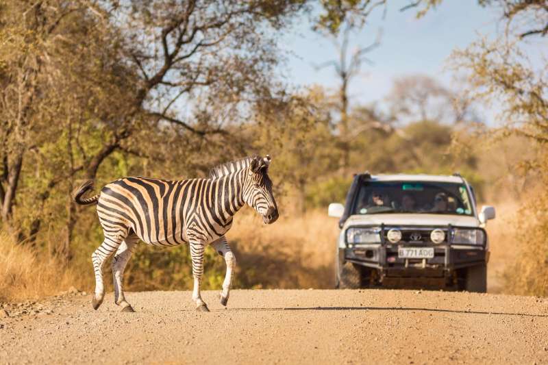 Sur les pistes du Kruger en Autotour