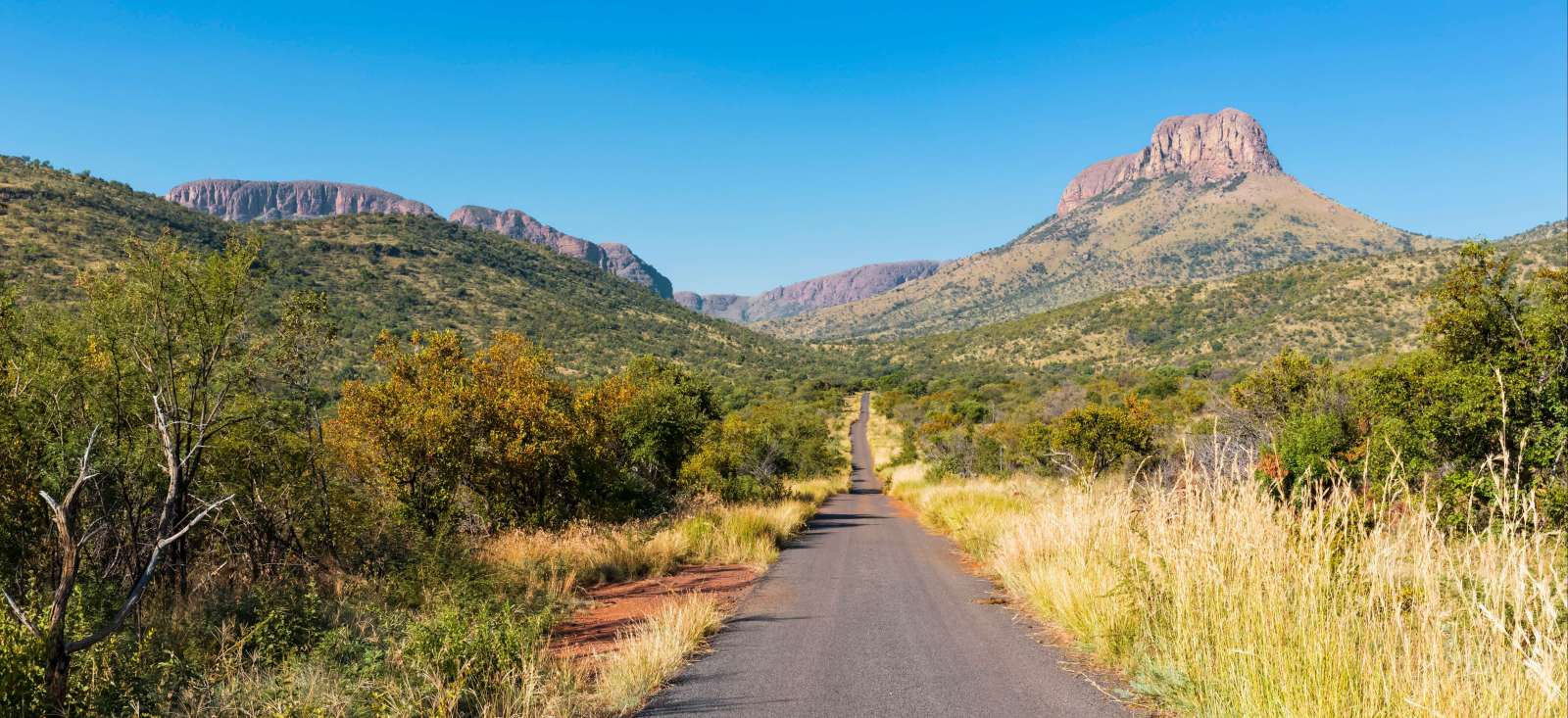 Voyage en véhicule : Route sauvage, du Limpopo au Mpumalanga