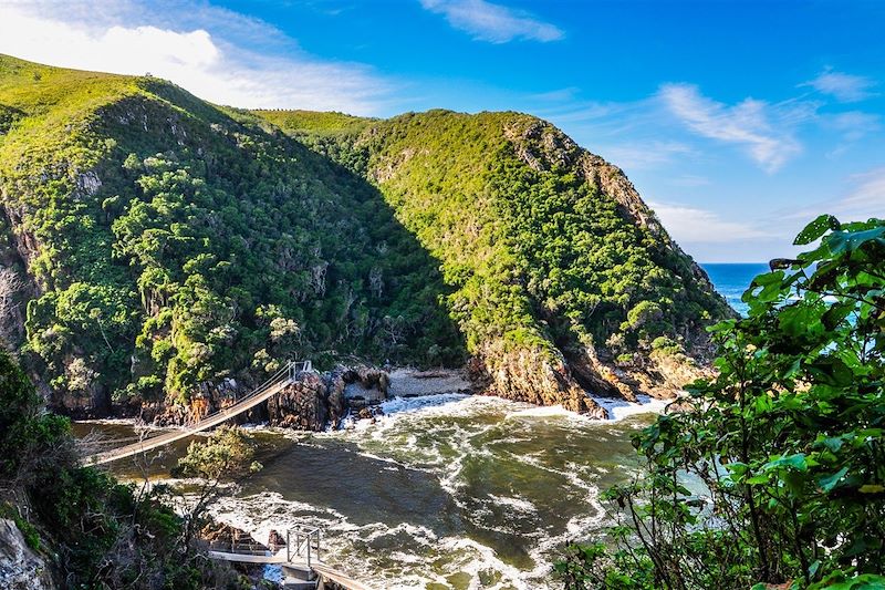 Parc national de Tsitsikamma - Afrique du Sud