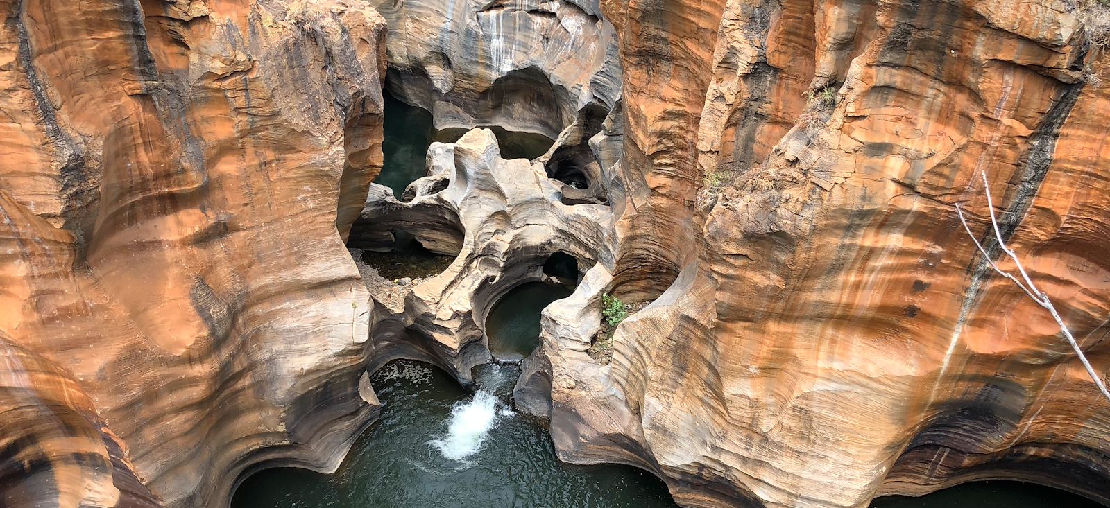 Image Du Kruger au Cap de Bonne-Espérance