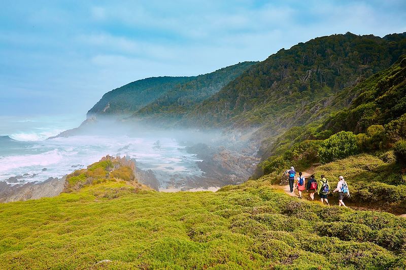 Randonnée dans le parc de Tsitsikamma - Cap-Occidental - Afrique du Sud