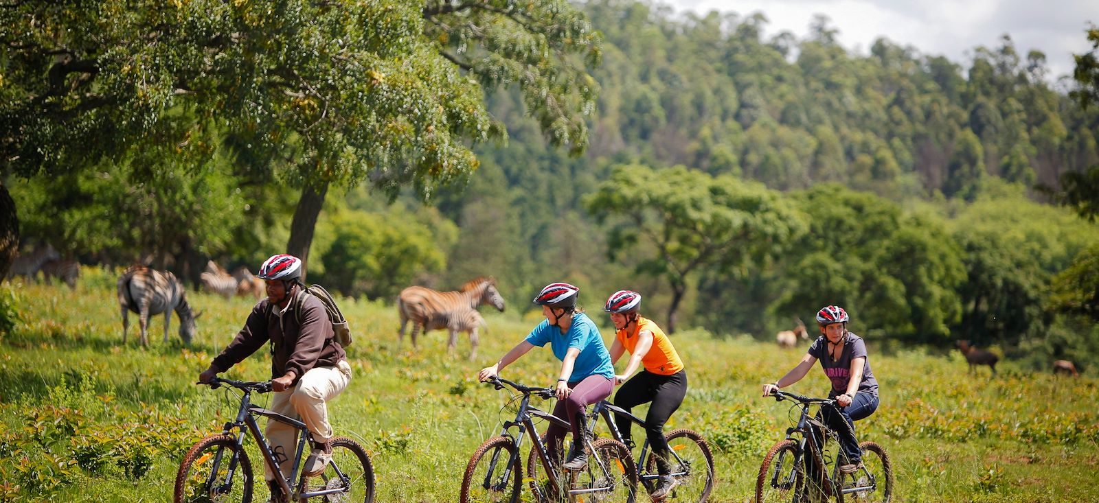 Image Du Kruger au Cap de Bonne-Espérance