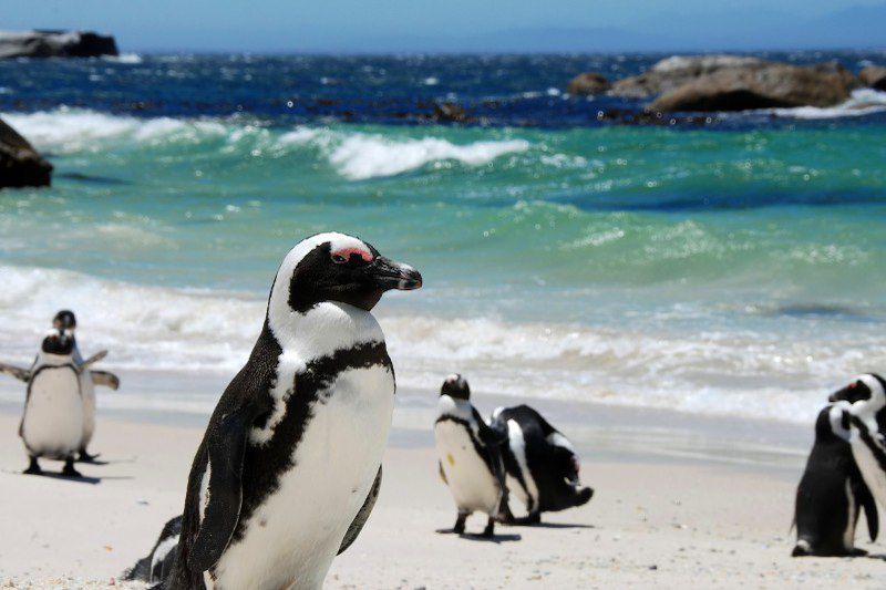 Cap au sud en famille!