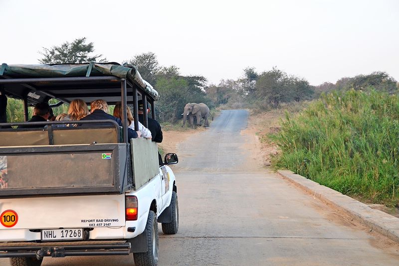 Réserve d'Hluhluwe-Umfolozi - KwaZulu-Na - Afrique du Sud