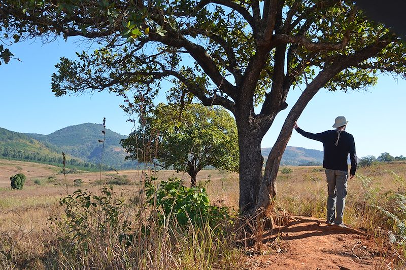 Réserve de Mlilwane - District de Manzini - Swaziland