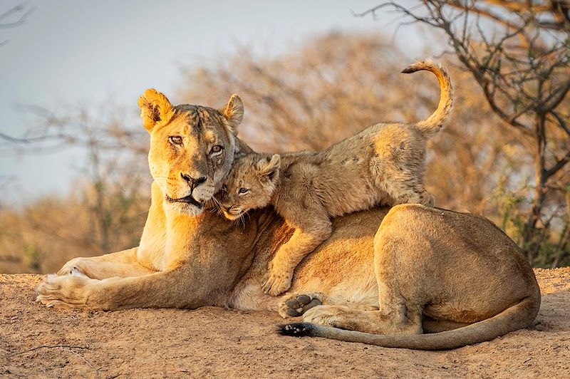 Ma tribu en Afrique du Sud