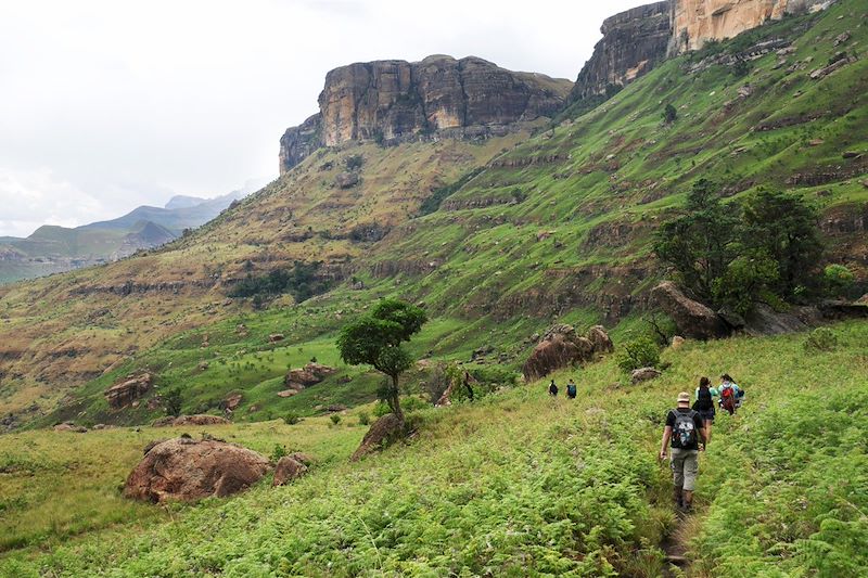 Drakensberg - Province du Kwazulu-Natal - Afrique du Sud