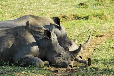Safaris et paysages époustouflants  4