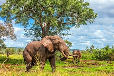 voyage Afrique du Sud