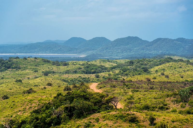 Isimangaliso Wetland Park - Afrique du Sud