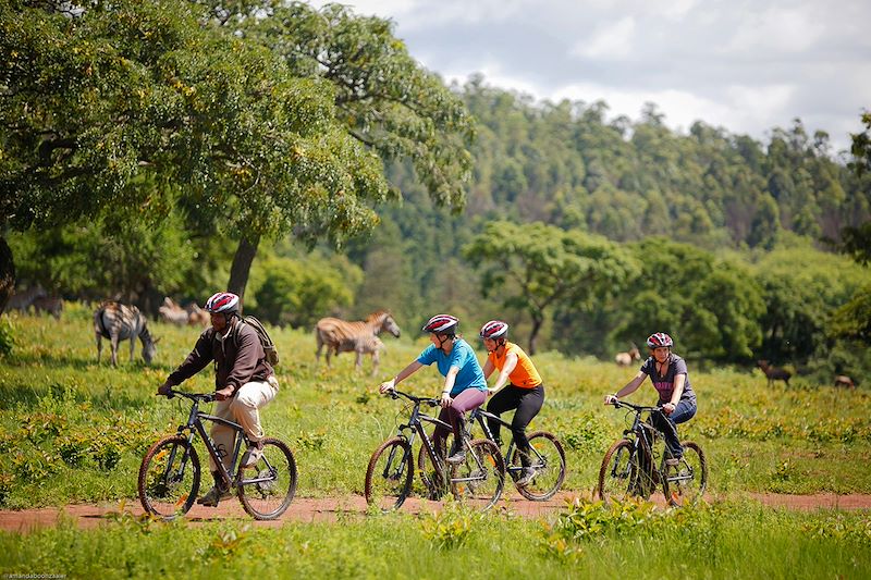 VTT à la Réserve naturelle de Mlilwane - Afrique du Sud