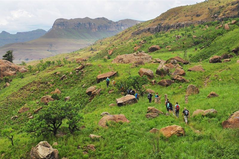 Drakensberg - Province du Kwazulu-Natal - Afrique du Sud