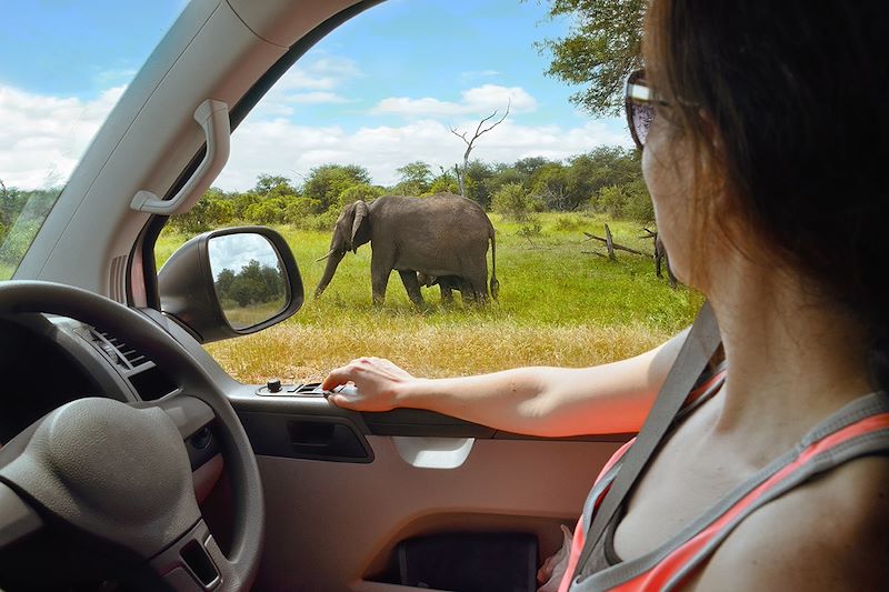 Safari en Afrique du Sud