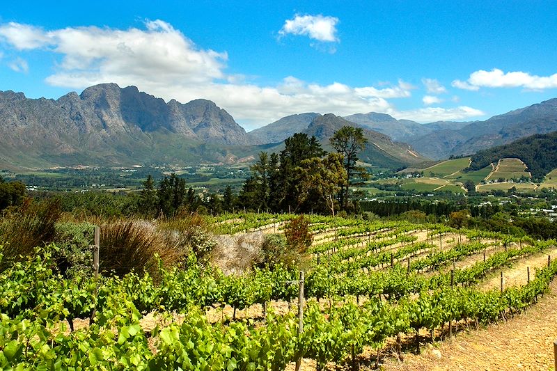 Franschhoek - Cap-Occidental - Afrique du Sud