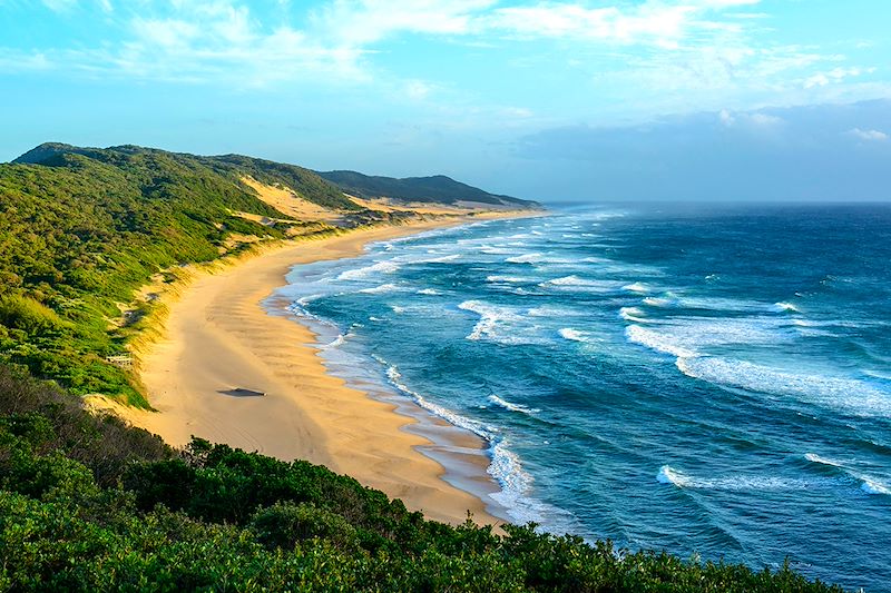 Parc de la zone humide d'iSimangaliso - KwaZulu-Natal - Afrique du Sud