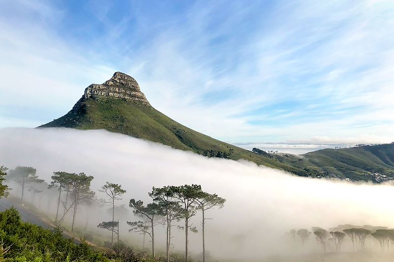 Lion's Head - Cap-Occidental - Afrique du Sud