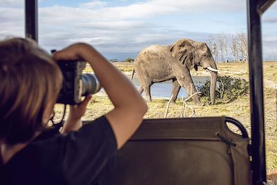L'Afrique du Sud en famille 