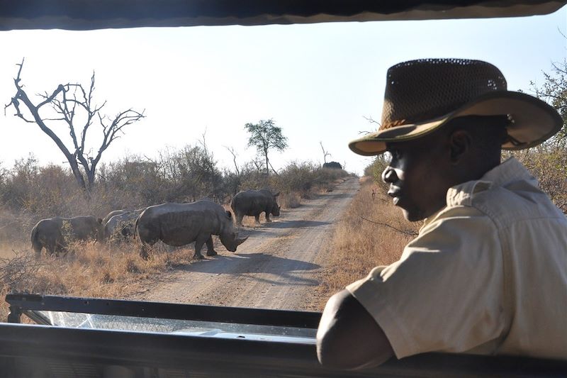 L'essentiel de l'Afrique du Sud... 