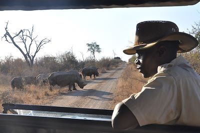 voyage Afrique du Sud